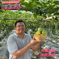 【中果快出款】钦蜜九号武平百香果九甜以上微瑕3斤5斤装顺丰包邮