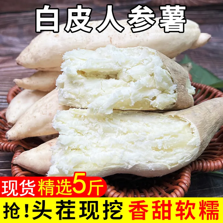 白皮人参薯白皮白心红薯番薯板栗薯地瓜白瓤粉面粗粮地瓜牛奶红薯