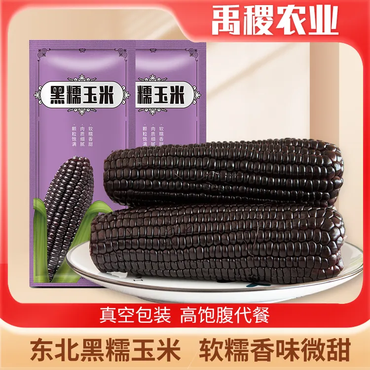 【田多多专属】东北头茬黑糯玉米220g*8支 