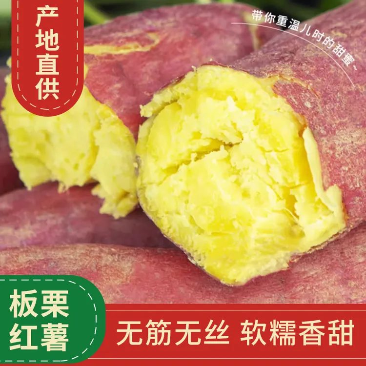 陕西临潼板栗红薯香甜软糯产地直发香甜可口新鲜现挖口感纯正