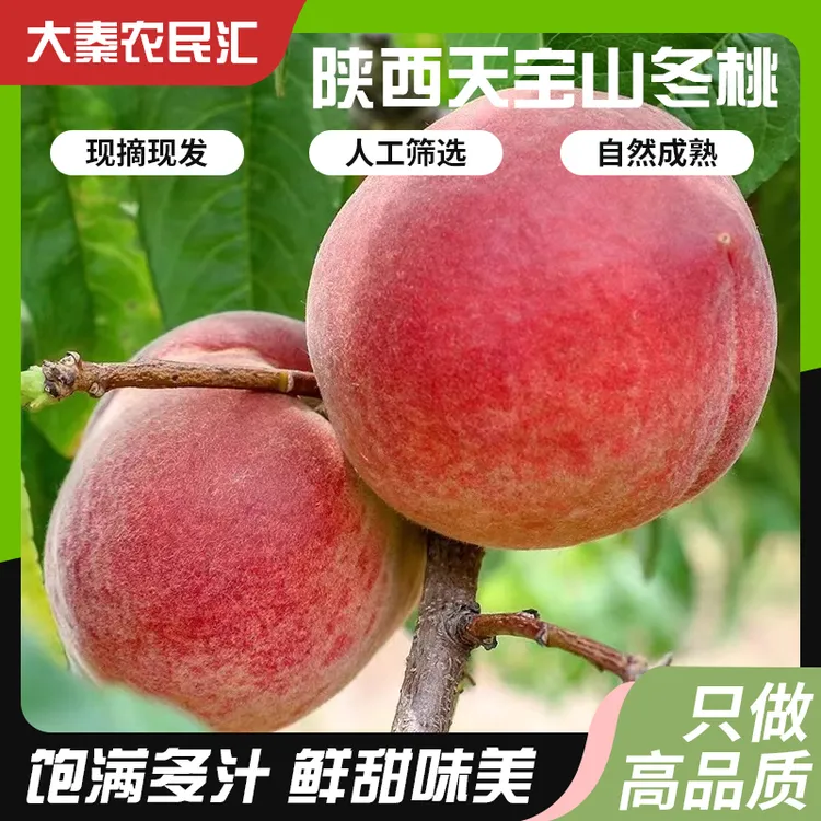 陕西特产香甜爽口冬桃