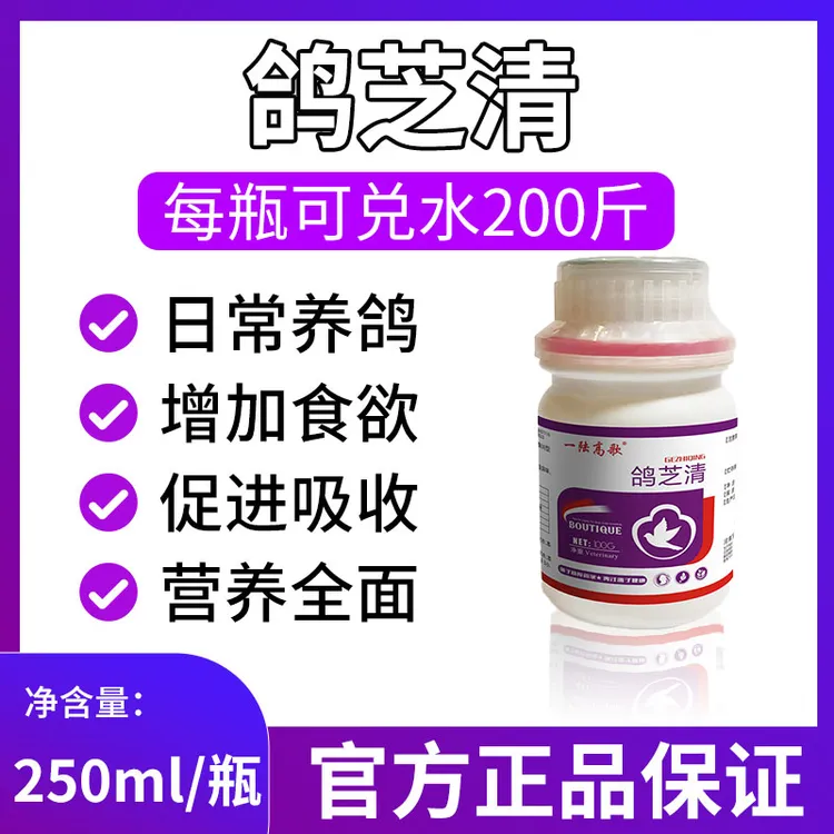 【一陆高歌】鸽芝清鸽子营养赛鸽肉鸽宠物鸽子健康养鸽