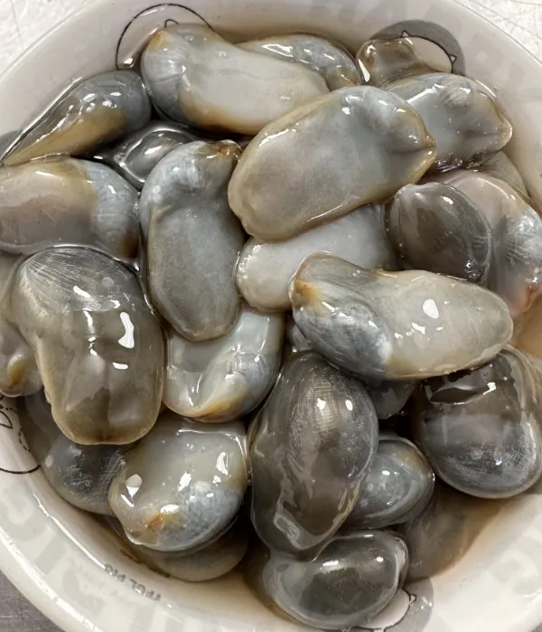 【阿二专属】宁波正宗黄泥螺口感爽脆无沙500克泥螺即食