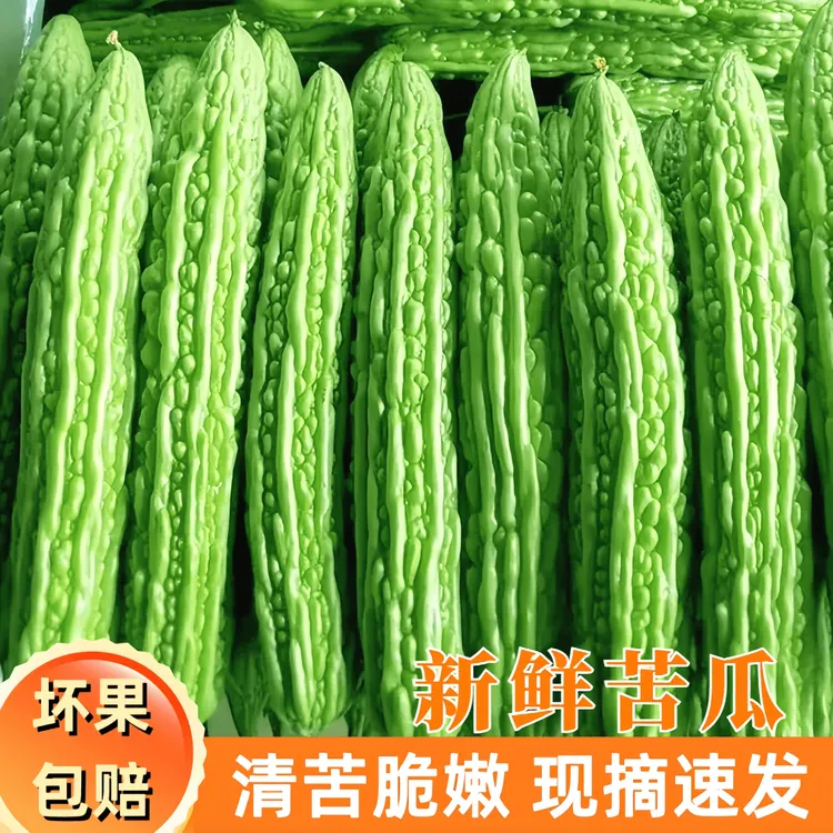 露天苦瓜农家自种产地直发生鲜蔬菜露天癞瓜新鲜脆嫩新鲜