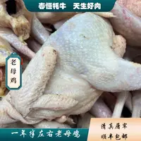【高原母鸡】1只(1-1.5年)  炖煮/红烧 腹腔内有油介意慎拍