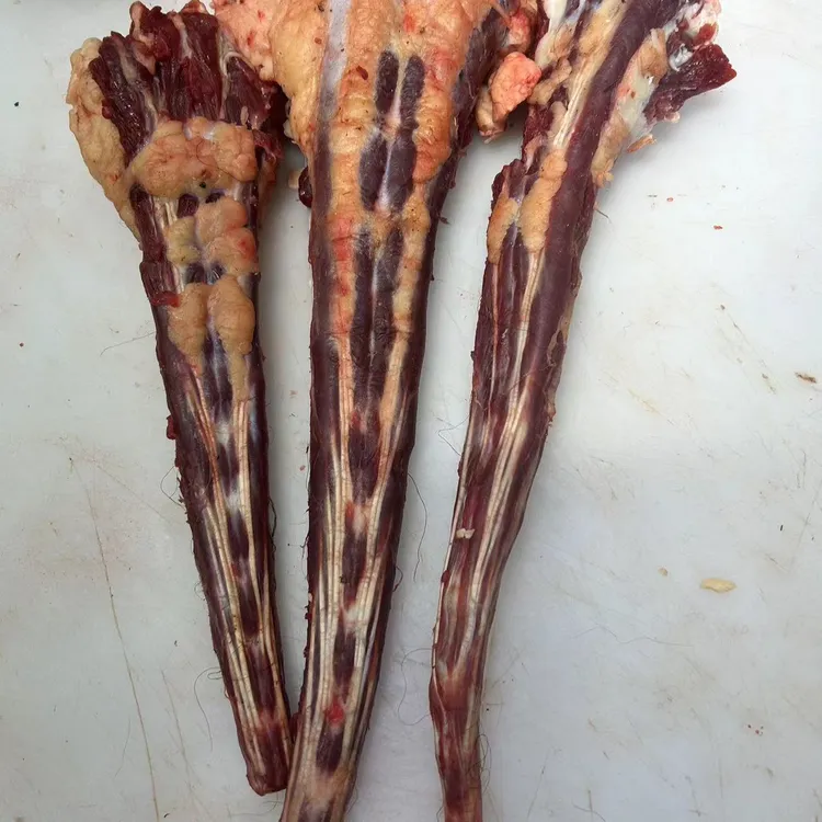 【春恒牦牛牛尾】4斤  肥  有牦牛毛 筋膜 炖煮 京东发货