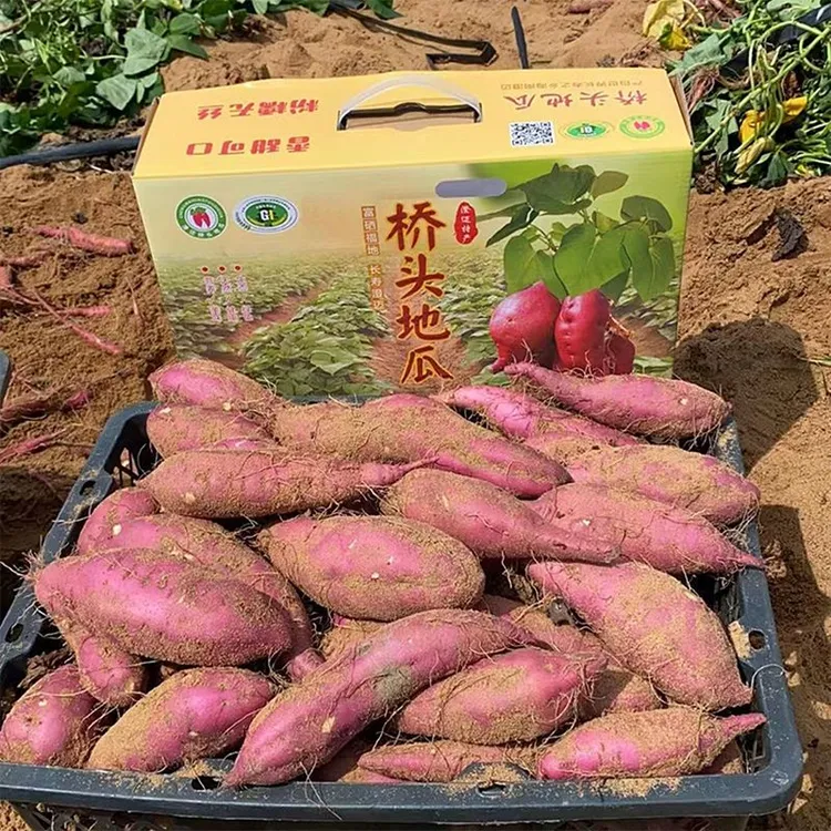 【精品】正宗桥头地瓜富硒板栗海南整箱板栗薯红皮澄迈沙土红薯