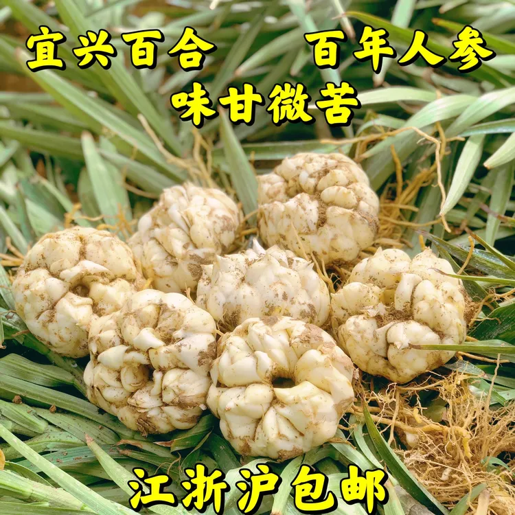 <顺丰快递>25年新鲜宜兴大百合微苦新鲜发货3斤/5斤