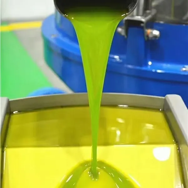 陇南特级初榨橄榄油一级鲜果物理冷榨纯天然0添加青果油优惠价