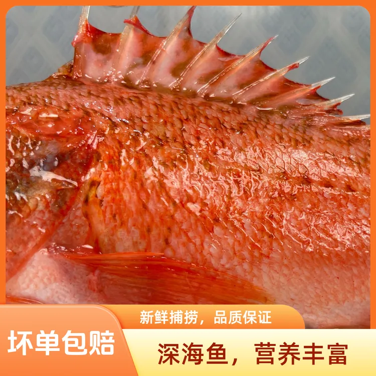 福建天然海鱼石斑鱼石九公头斑黑腹鲉鱼生鲜海鲜水产小红斑速冻