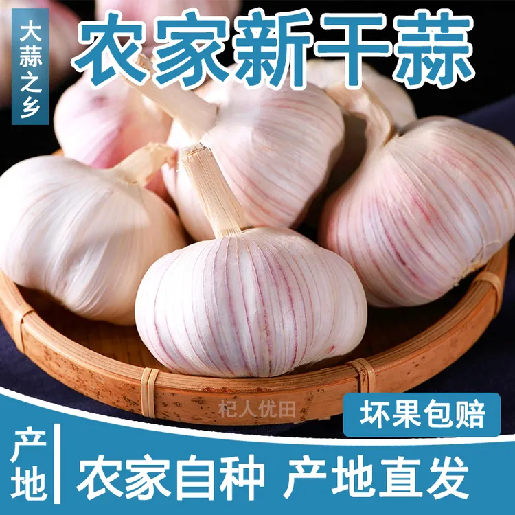 【农家新干蒜】5斤大蒜头新鲜紫白皮蒜可种农家土蒜大蒜1斤3斤9斤