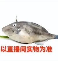 大连发货   扒皮鱼（顺丰发货）