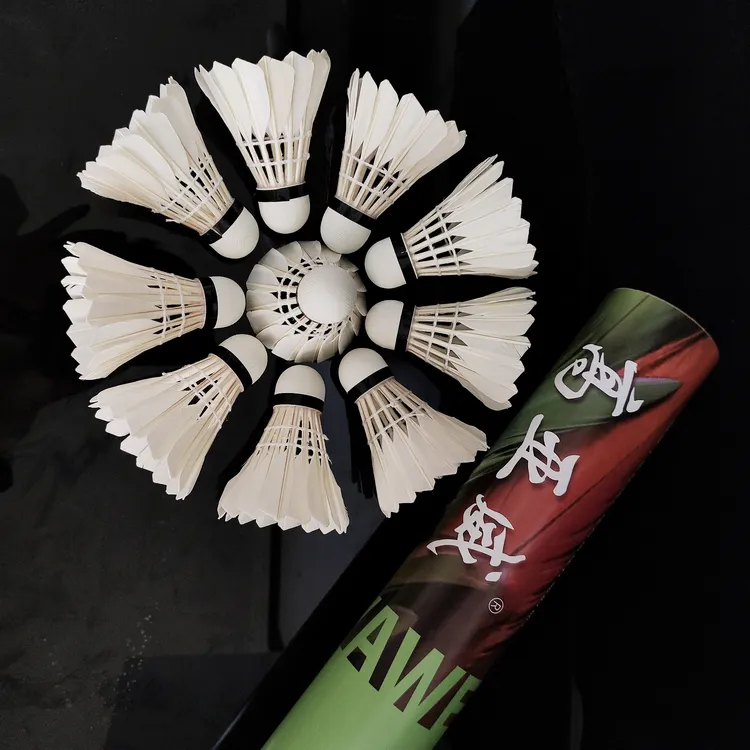 高亚威免熏超级耐打羽毛球训练娱乐场馆室内外用球鹅毛反洗单边