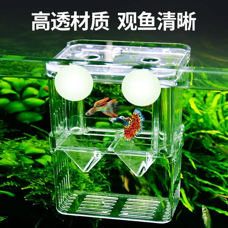 水族鱼缸隔离盒孔雀鱼孵化盒热带鱼幼鱼孵化盒小型饲养繁殖