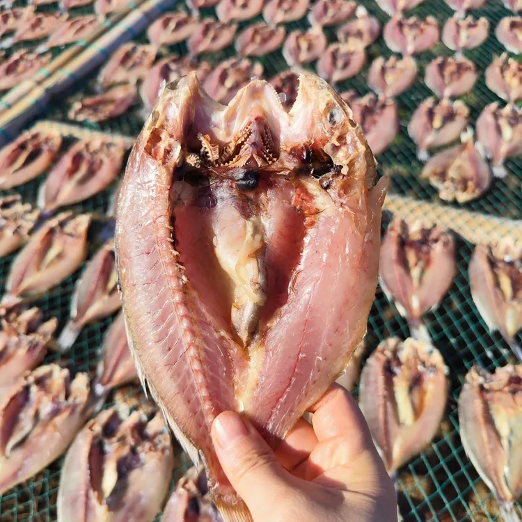 【哈姑姑】自晒舟山特产白果子鲞开背白果子鱼鲞海鲜干货5包