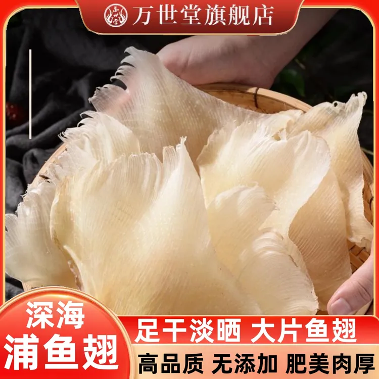 万世堂淡晒浦鱼软骨翅天星翅大片海狗翅滋补营养炖汤干货花胶肉厚