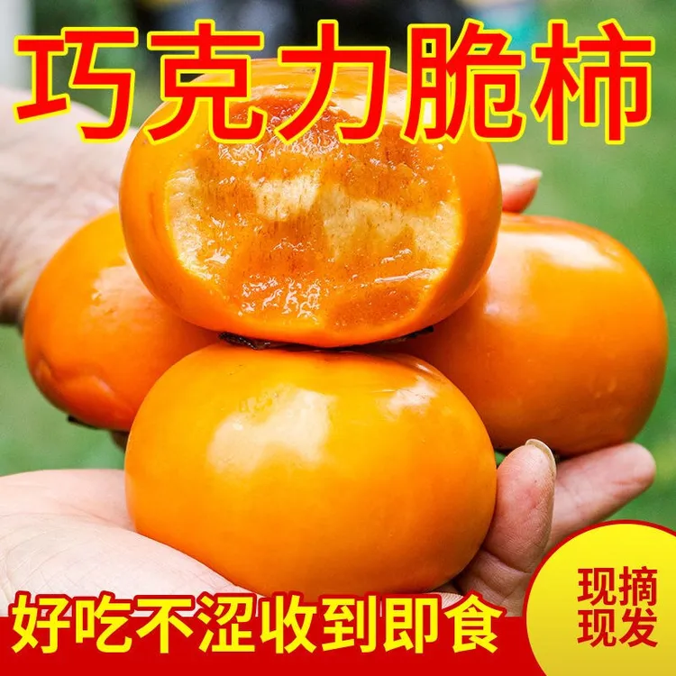 清江味道巧克力冰糖心脆甜柿子阳丰脆柿同款新鲜当季水果包邮