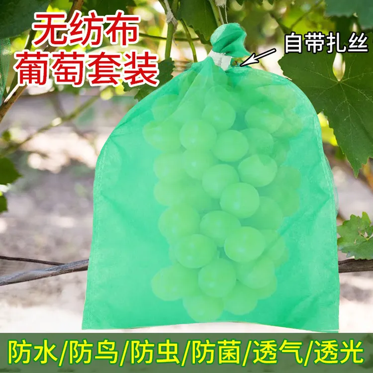 【新疆包邮】扎丝葡萄套袋绿色专用透气防鸟无纺布葡萄袋水果套袋