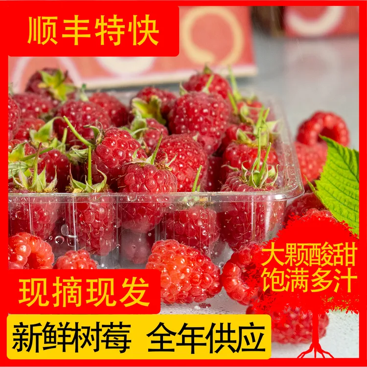 带叶现摘新鲜红树莓2/4盒装覆盆子稀有水果125g/盒当季孕妇水果