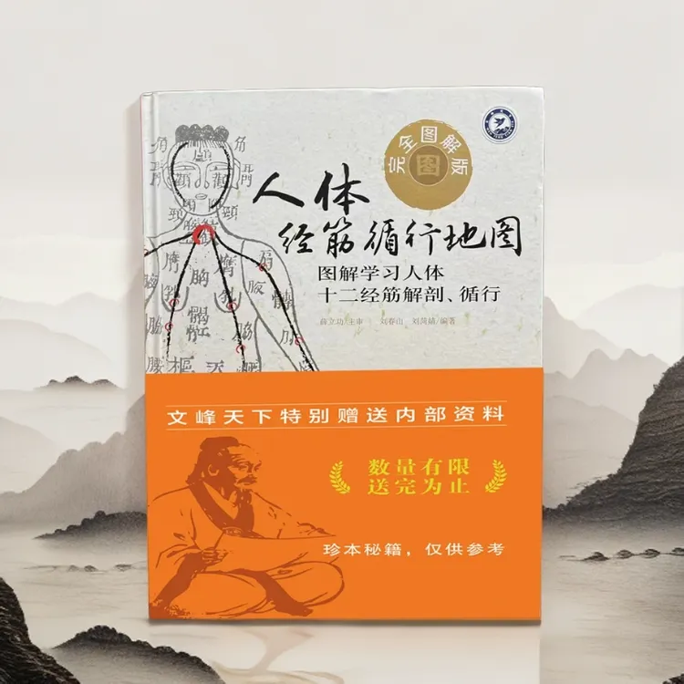 【正版】人体经筋循行地图中医理论书籍自学入门经络穴位分布图