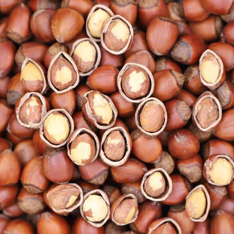 东北炒熟榛子、香酥可口