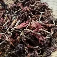1【玉-兰-花】净含量：100g【阿忠现收现卖】菌