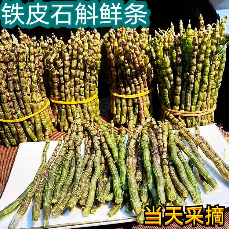 云南铁皮石斛鲜条新鲜石斛现剪现发食用石斛条
