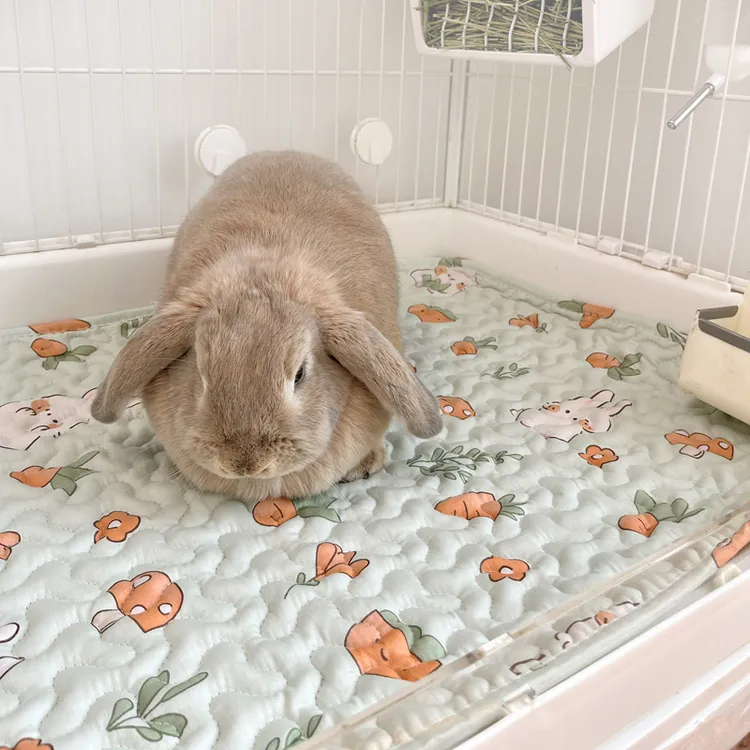 宠物垫子四季通用笼内铺垫子兔子荷兰猪地垫睡垫棉垫可水洗