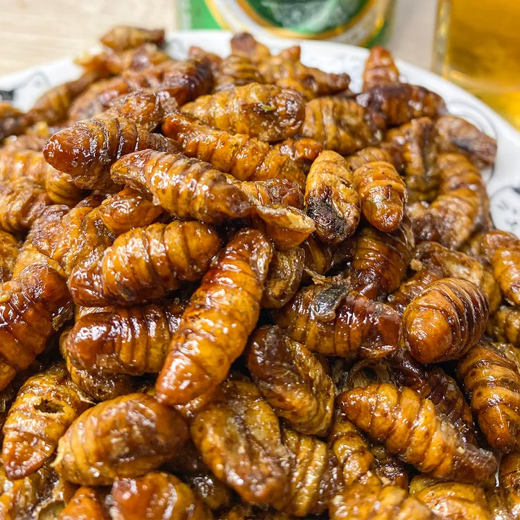 香酥蚕蛹 优质农村土特产即食营养美味下酒菜酥脆口感好吃麻辣