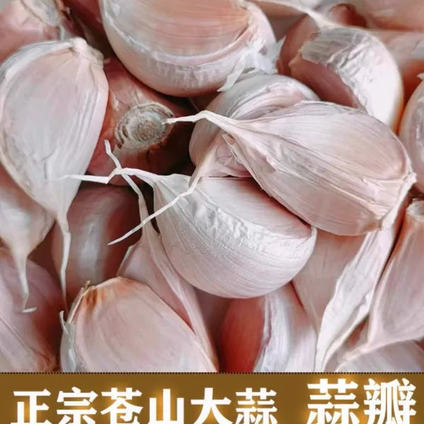 苍山大蒜四六瓣品种大蒜瓣25年纯手工掰3斤5斤产地直发新鲜大蒜