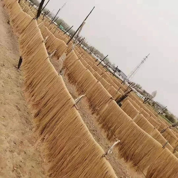 【主播优选】沂蒙山红薯粉条，不含胶 '非遗'D