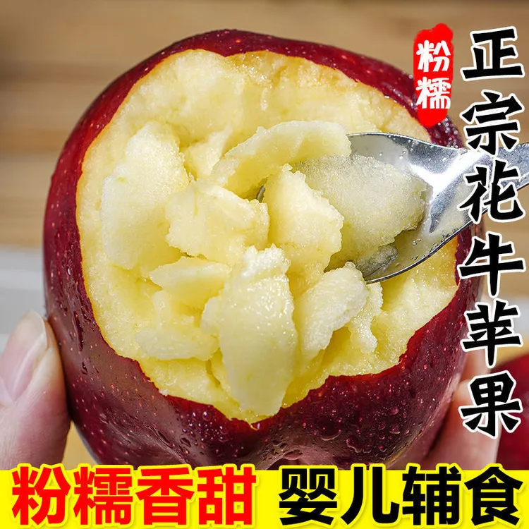 正宗甘肃天水花牛苹果秦安香甜粉面蛇果冰糖心水果苹果新鲜苹果