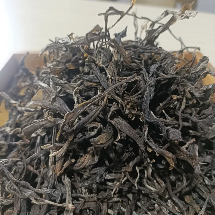 富赛山2024年大树茶头春散料