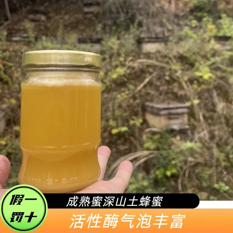 【假一赔十】野生深山土蜂蜜植物花成熟蜜原蜜原浆农家土蜂蜜