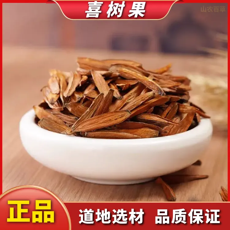 野生喜树果水栗子千丈树天梓树果干货喜树子散装250g500g非栀子