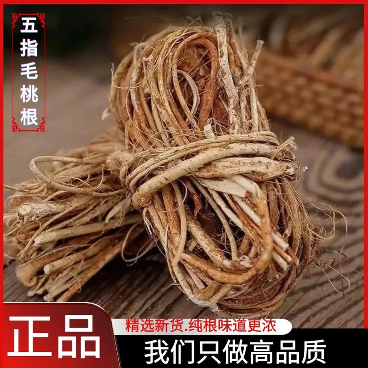 五指毛桃根新鲜晒干当地根正品五爪龙干货煲汤料50g-500g非当归