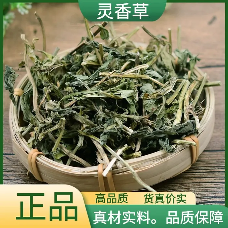 灵香草正品野生零陵香精选新货灵香草干货散装250g500g另有益母草