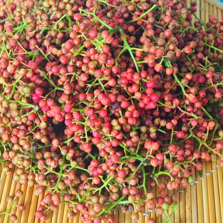 花椒新鲜花椒鲜花椒红花椒现摘现发湿花椒可做花椒油农家自种包邮
