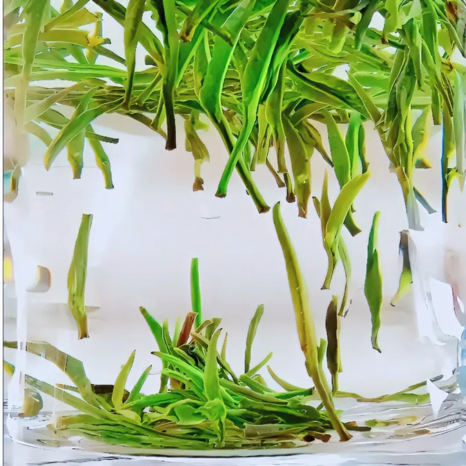 2024年新茶正宗岳西翠兰新茶叶口感好香味浓绿茶盒装高山茶250g