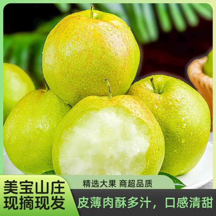 现摘现发正宗山西玉露香梨超脆甜香酥梨2025新鲜孕妇应季水果批发