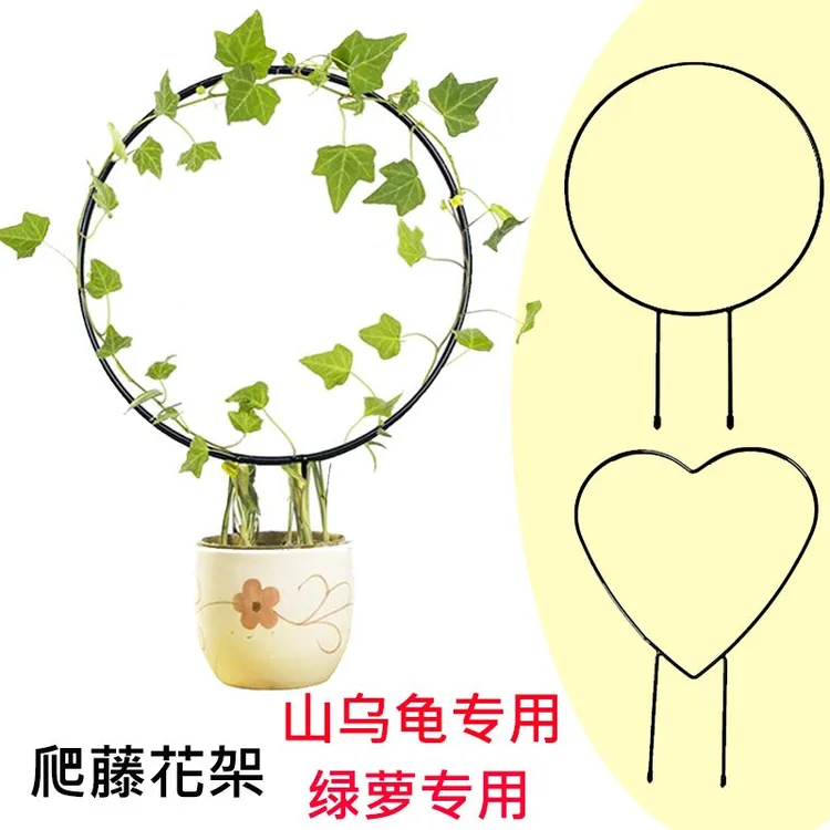 室内心形花架山乌龟绿萝爬藤架子绿植攀爬支架圆形造型金属支撑架