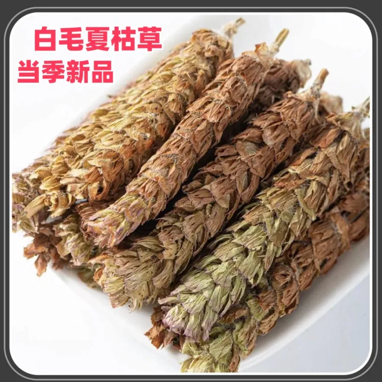 【陈红精选】肇庆白毛夏枯草