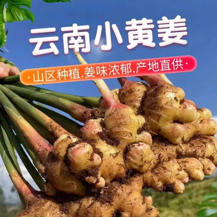 两年老姜（云南小黄姜）