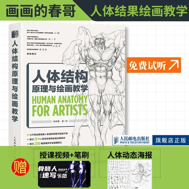 人体结构原理与绘画教学画画的春哥临摹艺术册集描摹火柴人绘画书