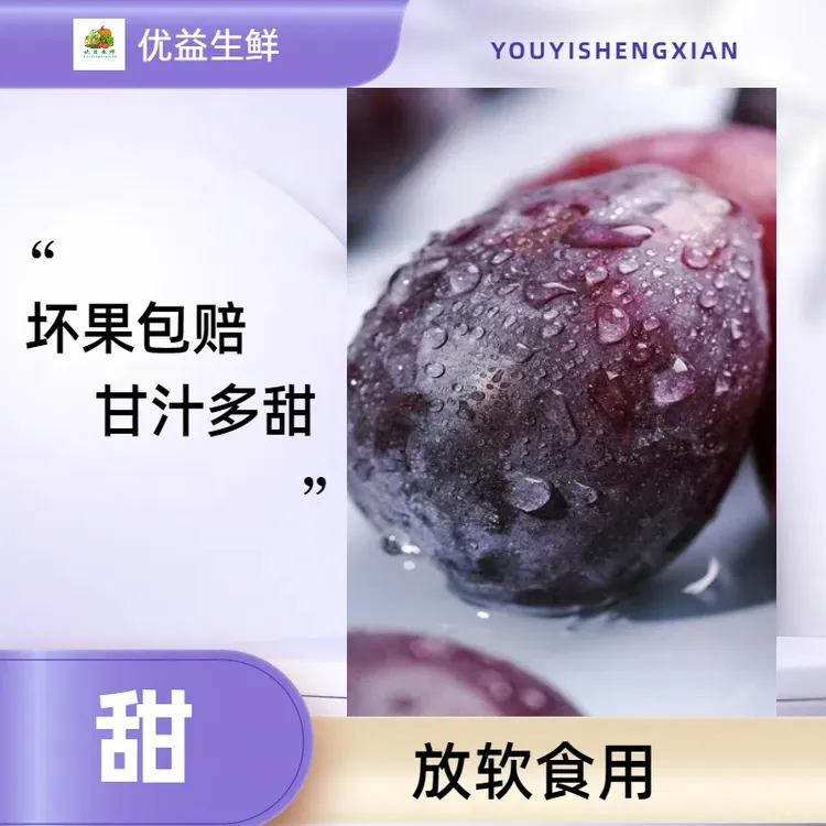【爆甜大西梅】甘肃西梅香甜饱满鲜嫩大果果园多汁采摘酸甜香甜饱满