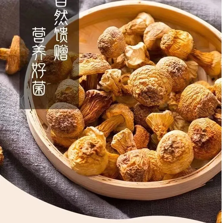 云南特产姬松茸干货自然晾晒肉厚味美食用菌佳品