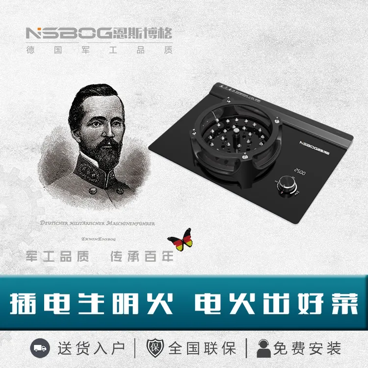 NSBOG/恩斯博格恩斯博格电火灶电焰灶DHZ-A2