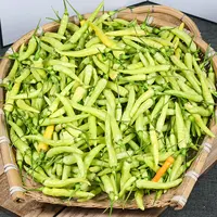  特辣包邮云南正宗皱皮野山椒新鲜白米辣小米辣泡椒野山椒250g