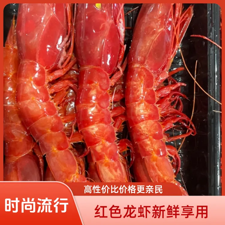 特大红魔虾深海捕捞刺身日料大虾海虾 