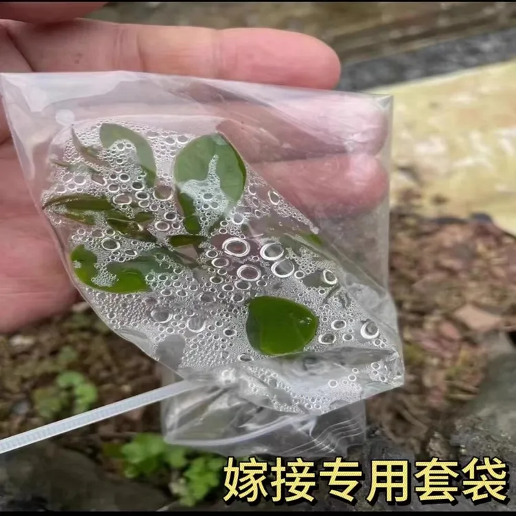 8丝/12丝/16丝保温/防潮收纳袋防尘嫁接保湿专用款自封透明密封袋